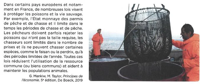 Lutter contre la pêche intensive